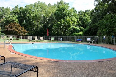 IMG_5446_Original 2