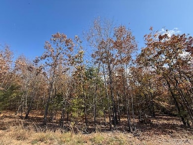 15 Summer Tyme Dr, Greenbrier, AR 72058 - photo 3