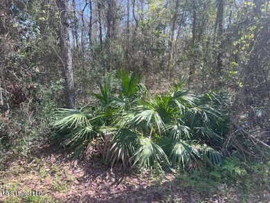 Lot 1 Neptune Ave, Ocean Springs, MS 39564 - photo 5