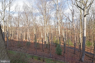 11562 Rolling Green Ct unit 200, Reston, VA 20191 - photo 7