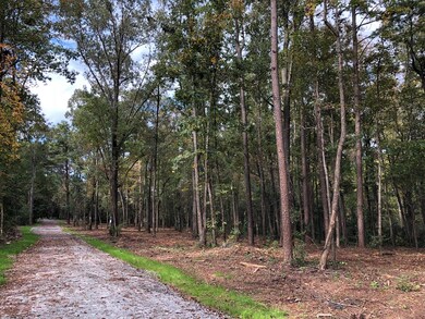 4575 Gray Ln, Evans, GA 30809 - photo 7