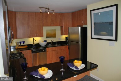 1138 Cove Rd unit 302, Annapolis, MD 21403 - photo 5