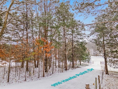 9916 Hawks Point Dr, Meramec Township, MO 63023 - photo 2