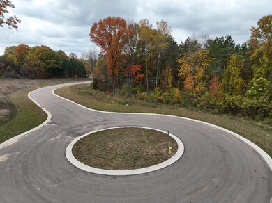 dji_fly_20241023_110158_63_1729698138645