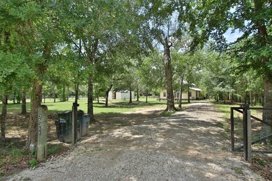 25311 Lady Ellen Dr, Hockley, TX 77447 - photo 3