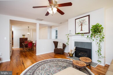 3640 Clipper Rd, Baltimore, MD 21211 - photo 7