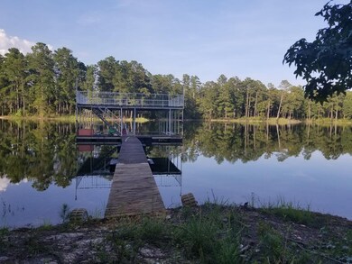 1037 Fleming Lake Ct, Lincolnton, GA 30817 - photo 4