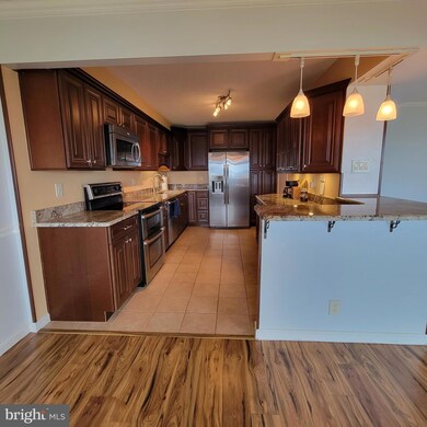 Montebello unit 1502, Alexandria, VA 22303 - photo 3