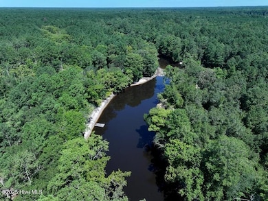 1601 Black River Ln, Harrells, NC 28444 - photo 6