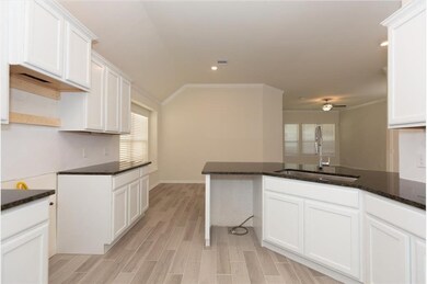 28639 Monarch Cliffs Dr, Fulshear, TX 77441 - photo 5