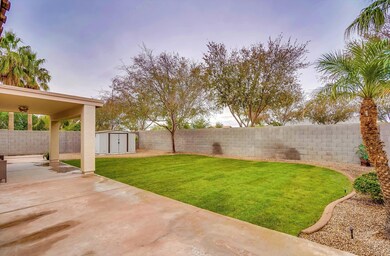 Lush Lawn in the Backyard!