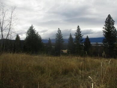 Nhn Damorecy Dr, Rollins, MT 59931 - photo 5