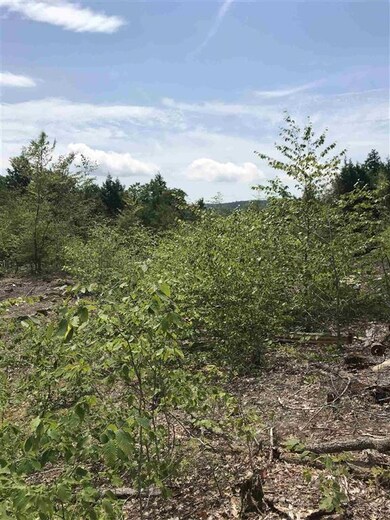 Map 11 Lot 64-1&2 & Lot 66 Roller Coaster Rd, Strafford, NH 03884 - photo 2