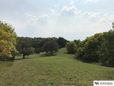 9990 N 225th St, Elkhorn, NE 68022 - photo 7