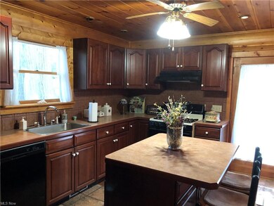 29342 Waldensa Ave, Wickliffe, OH 44092 - photo 6