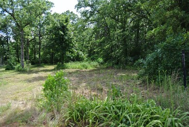 22356 Juanita Ln, Tecumseh, OK 74873 - photo 7