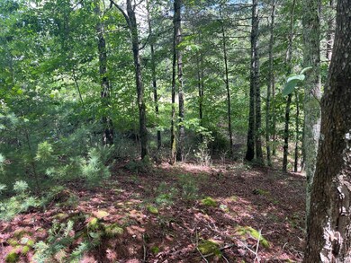 0 River Mountain Rd unit 152941, Murphy, NC 28906 - photo 6