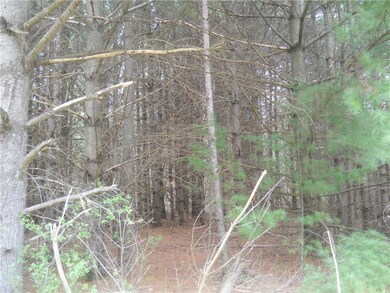 0 25 1 16 St, Chetek, WI 54728 - photo 5