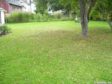 Other. A large and spacious back yard.