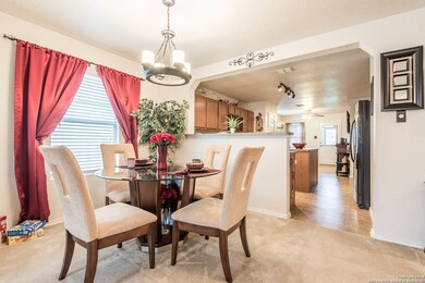 3823 Ashleaf Pecan, San Antonio, TX 78261 - photo 7