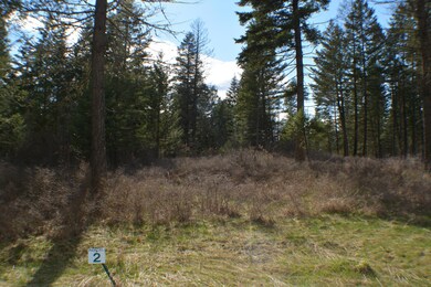 40 Wood Ridge Dr, Columbia Falls, MT 59912 - photo 7