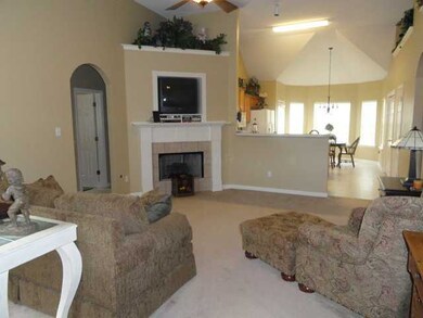 Vaulted ceiling with fireplace
