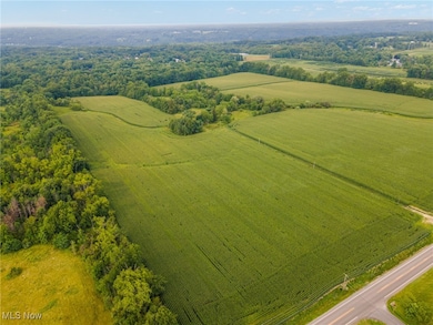 3810 Center Rd, Youngstown, OH 44514 - photo 6