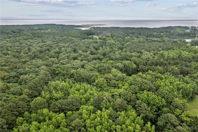 Drone / aerial view of a forest and a nearby body