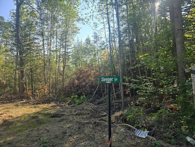 Lot 9-17 Sleeper Rd, Island Falls, ME 04747 - photo 4
