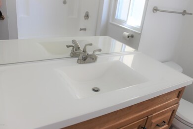 Guest Bath New Sink and Faucets