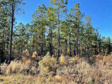 TBD Louisiana 155, Coushatta, LA 71019 - photo 3