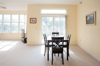 370 Farrell St unit 301, South Burlington, VT 05403 - photo 5