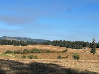 181 Harris Ridge Loop, Kooskia, ID 83539 - photo 5