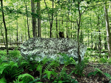 00 Kerness Rd, Wawarsing, NY 12428 - photo 6