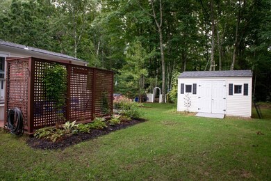 Photo-7 (Medium)