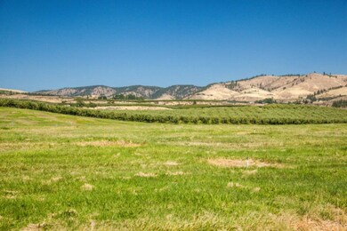 0 the Reserve unit LOT L 832257, Manson, WA 98831 - photo 6