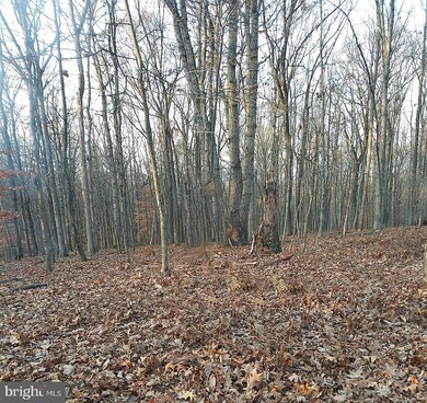 0 View Dr unit VAWR2002524, Front Royal, VA 22630 - photo 6