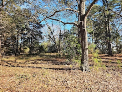 2565 Jb Denton Rd, Lancaster, SC 29720 - photo 2