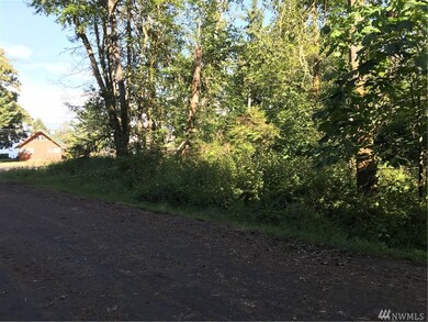 10720 Seaview Dr unit AI, Anderson Island, WA 98303 - photo 5