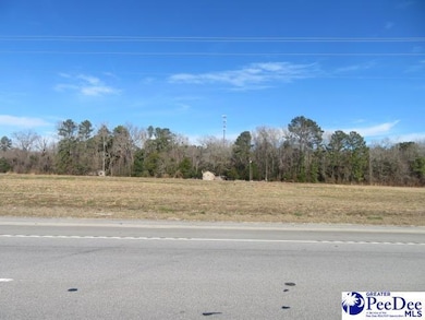 0 W Bobo Newsom Hwy, Hartsville, SC 29550 - photo 3