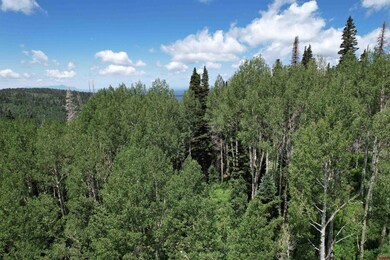 TBD Forest Service Road 567, Mancos, CO 81328 - photo 5
