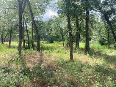 0000 Pvt Rd 5209, Cross Roads, TX 75751 - photo 5