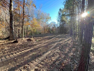 TBD (W. 180 Ac) Tunica Trace, St. Francisville, LA 70775 - photo 7