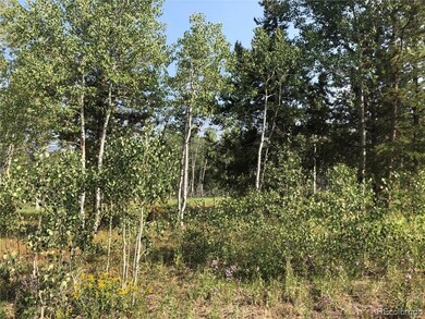 View of surrounding area with plenty of aspen tree