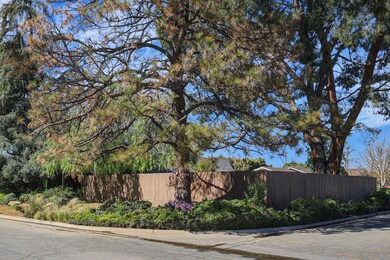 3 - Corner of Property