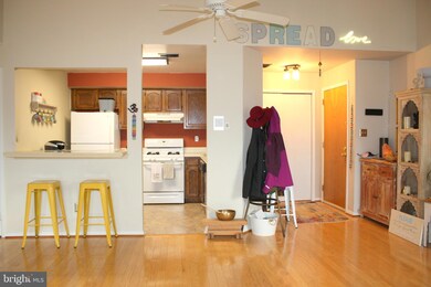 112 Lowell Ct unit 11, Princeton, NJ 08540 - photo 7