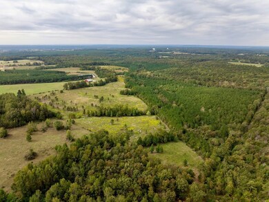 000 Easement unit Goff Rd, Quitman, AR 72131 - photo 4