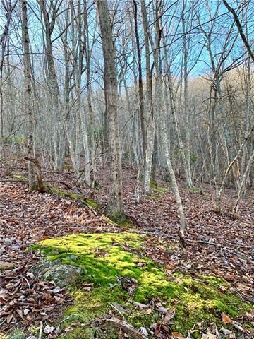 Lush, mossy outcrops.