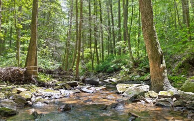 0 Wilderness Way unit 25791591, Dunlap, TN 37327 - photo 6