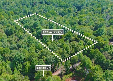 211 Bartox Dr, Ellijay, GA 30540 - photo 2